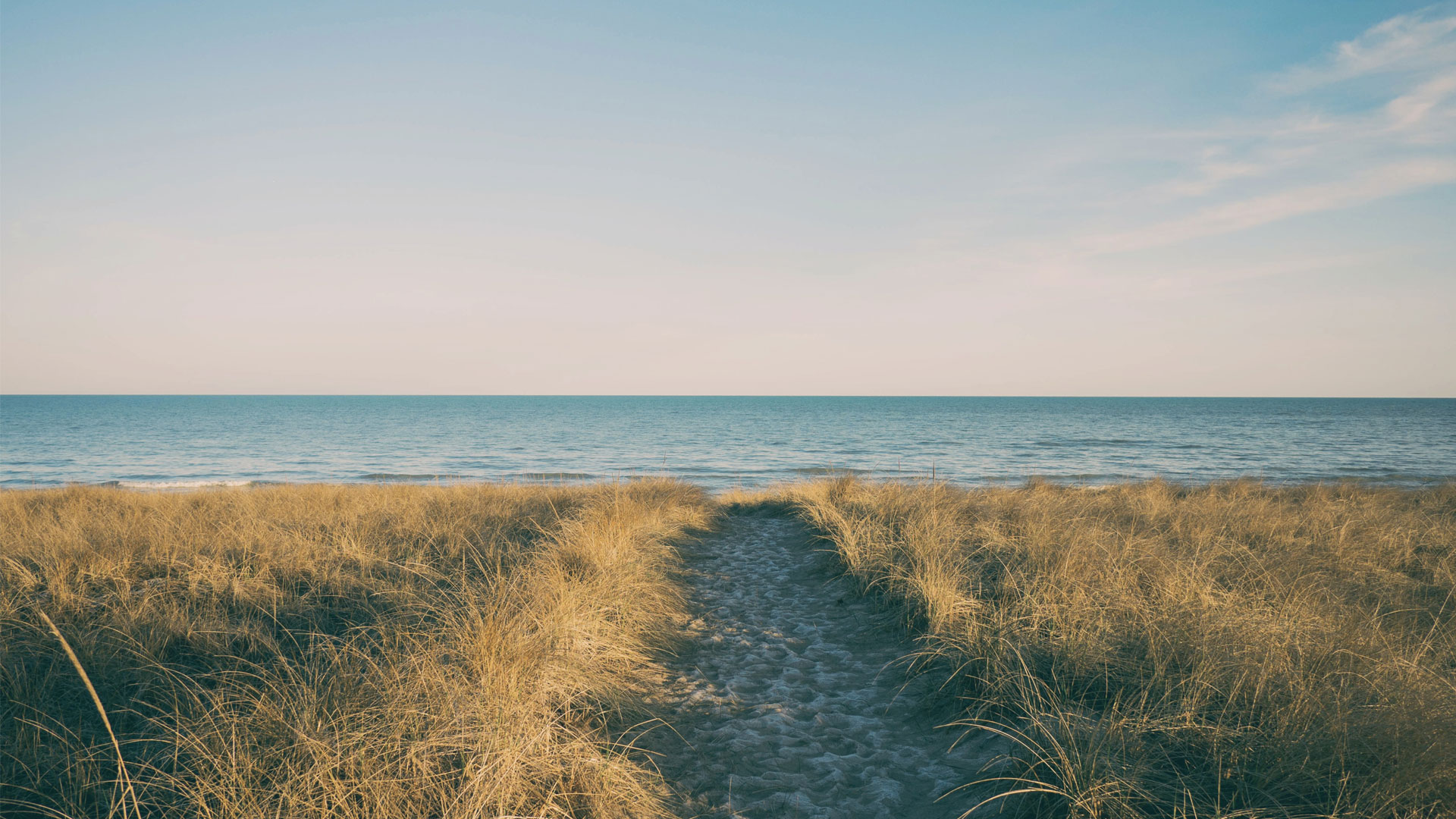 The sun sets on the beach grass of one of the many Cape Cod Beaches.