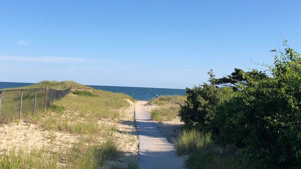 Bushes and seagrass line the pathway to Belmont Road Beach in Harwich, Cape Cod.