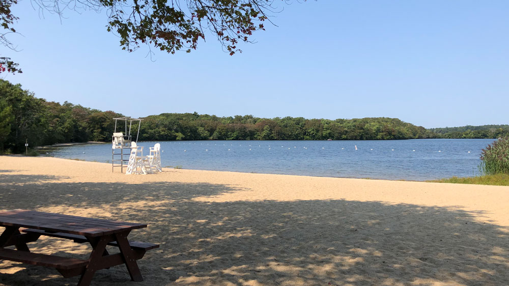 A lifeguard chair sits on the shore at Wakeby Lake at Ryder Conservation in Sandwich, Cape Cod.